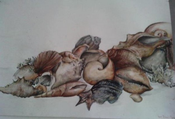 alte Picturi Scoici
