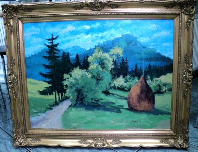 alte Picturi Deal la Baia Mare