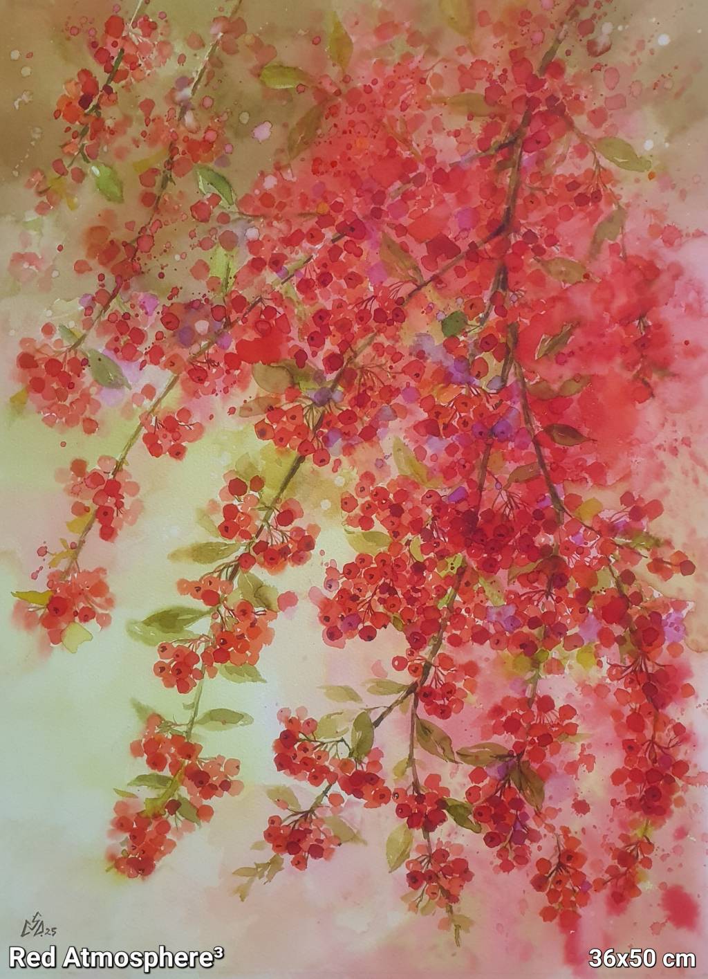 Pictura buchet fructe roșii 