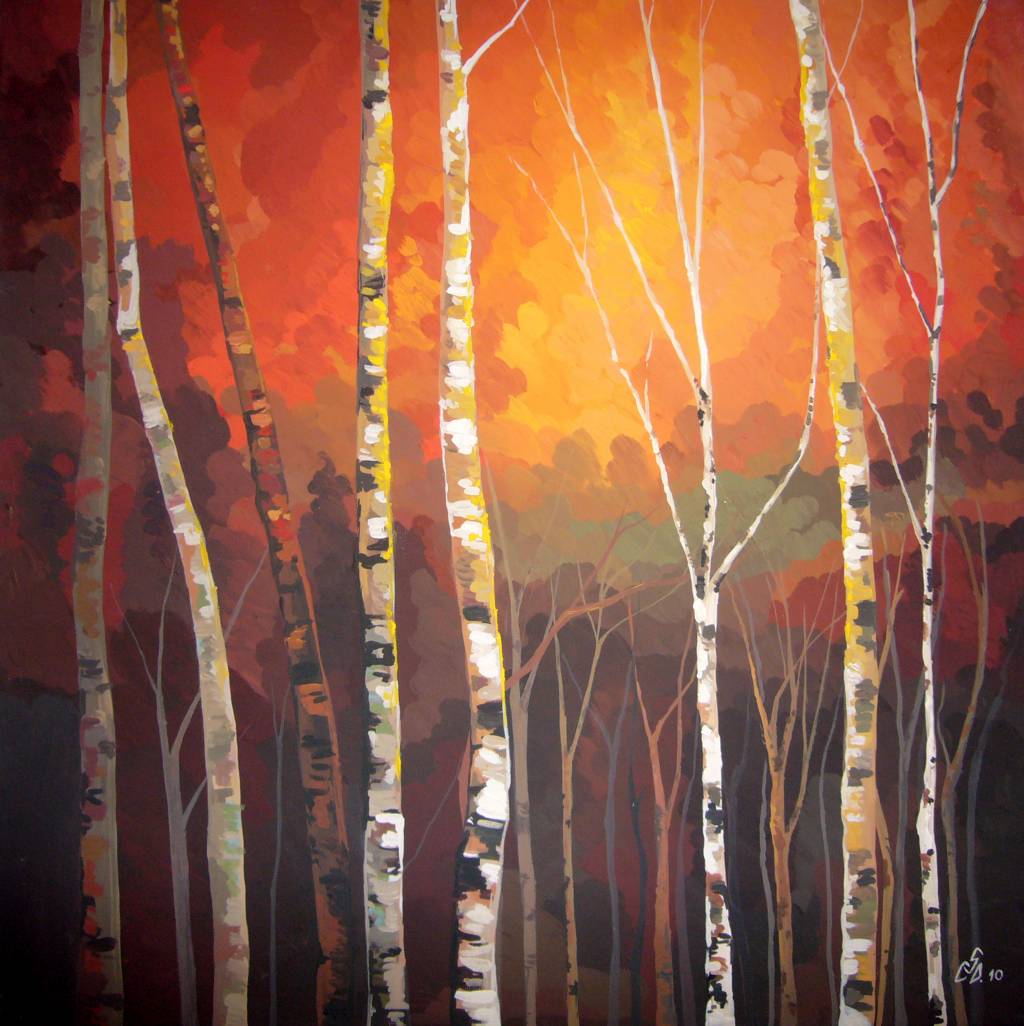 Pictura pădure mesteceni, toamna.