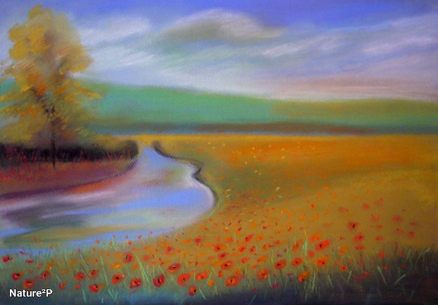 Pictura peisaj camp maci