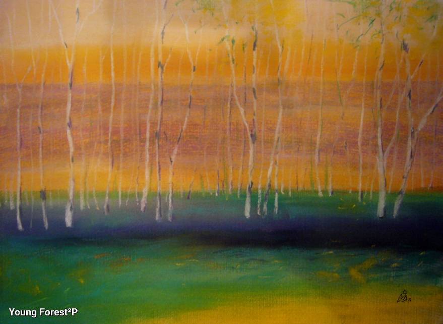 Pictura peisaj pădure 