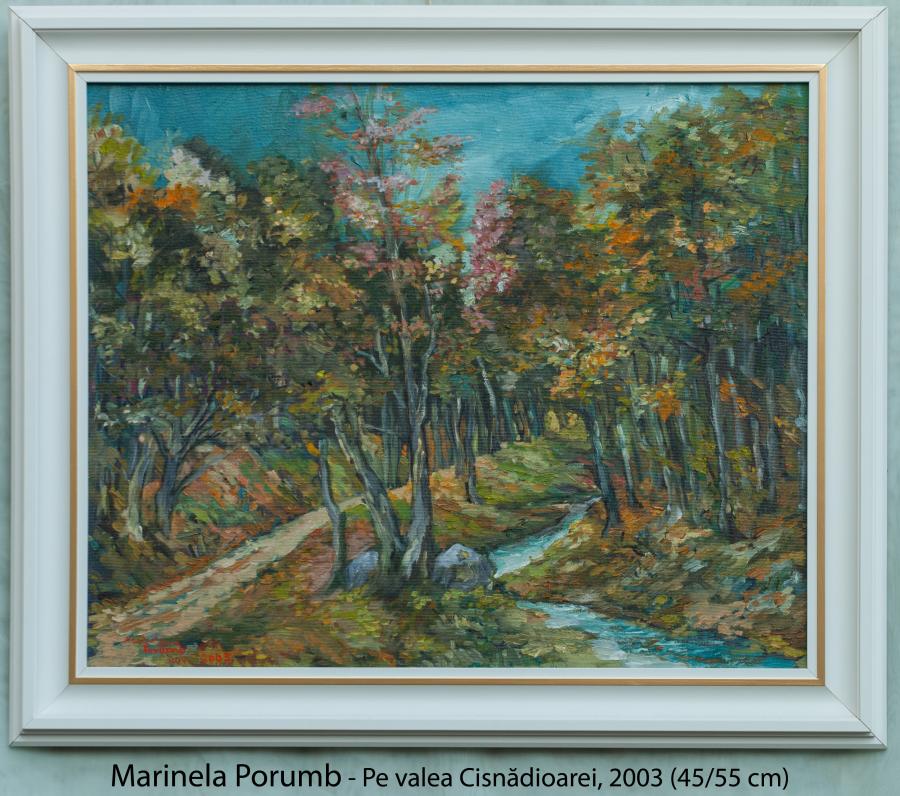 Picturi de toamna Pe valea Cisnadioarei,