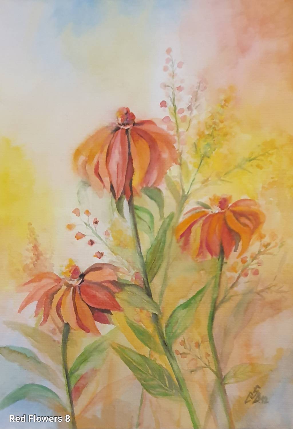 Picturi flori de câmp 