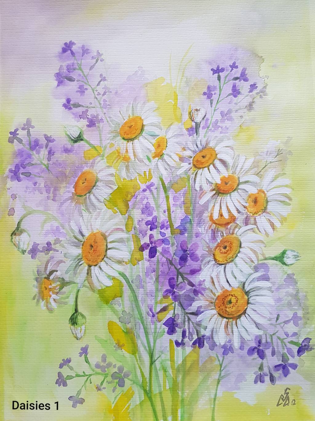 Picturi flori margarete 