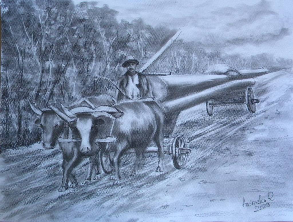 Poza CARAUSUL DE LEMNE