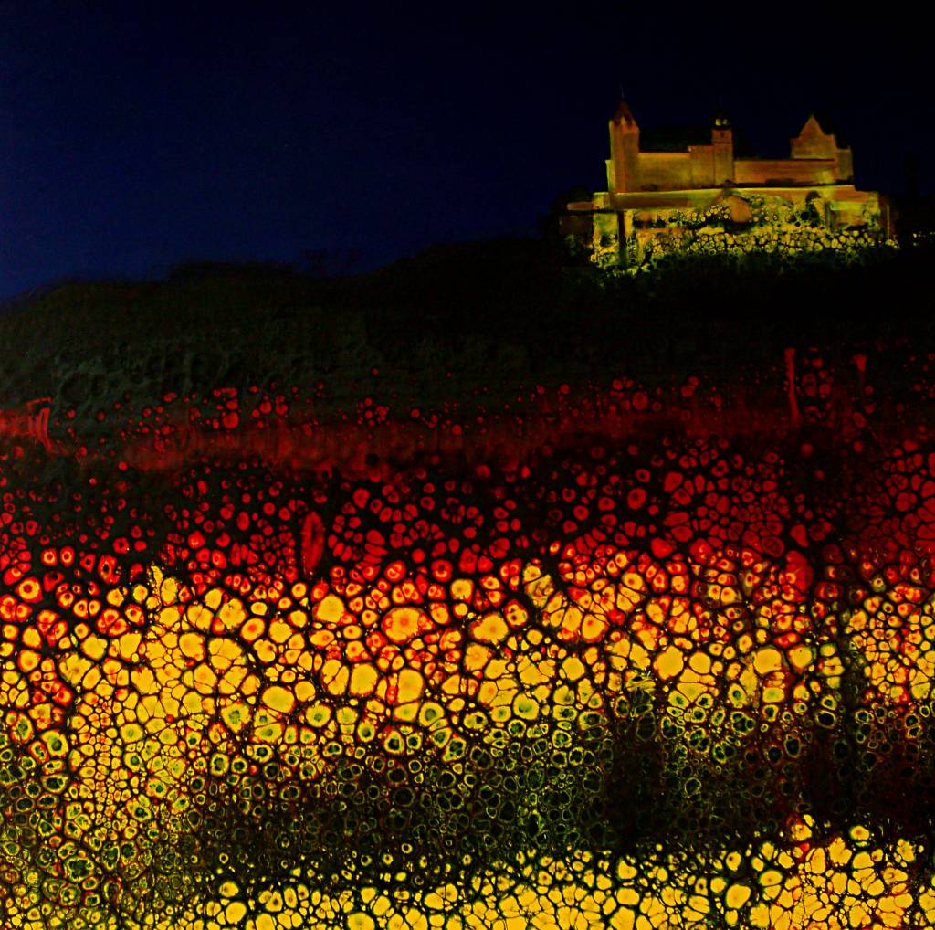 Poza CASTELUL COBURG IN NOCTURNA