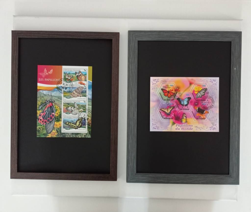 Poza Culorile fluturilor