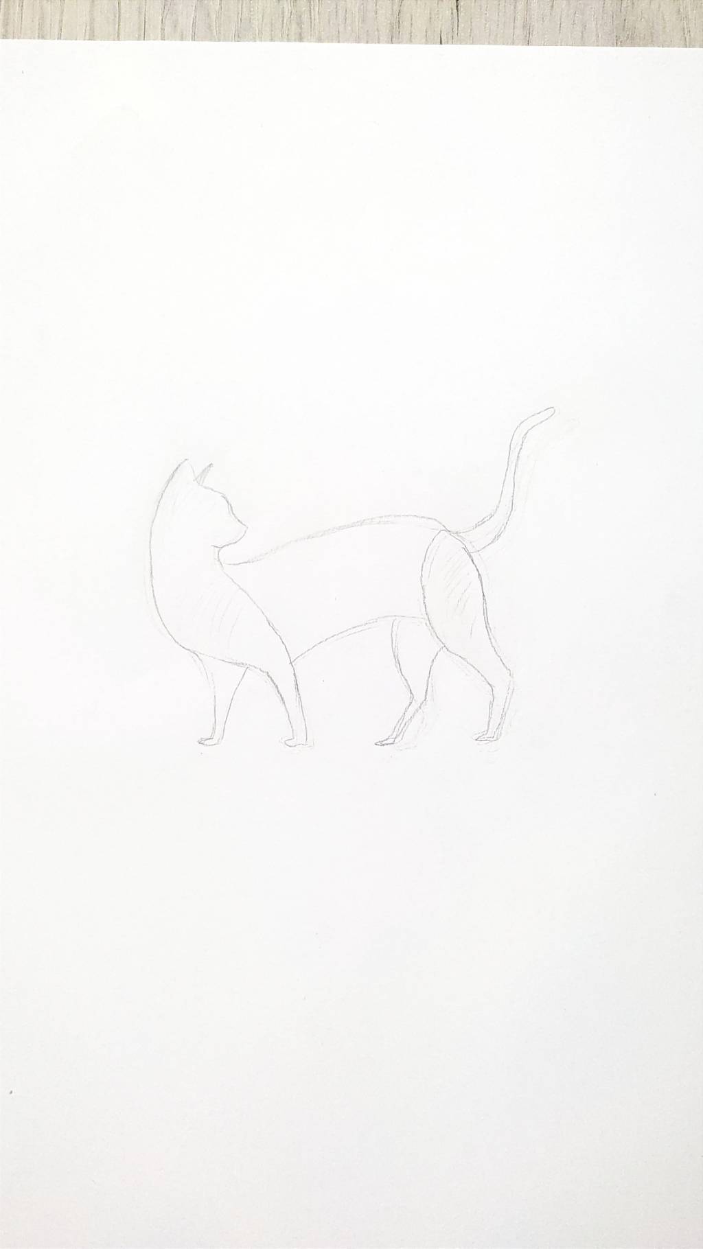 Poza Desen alb negru pisica