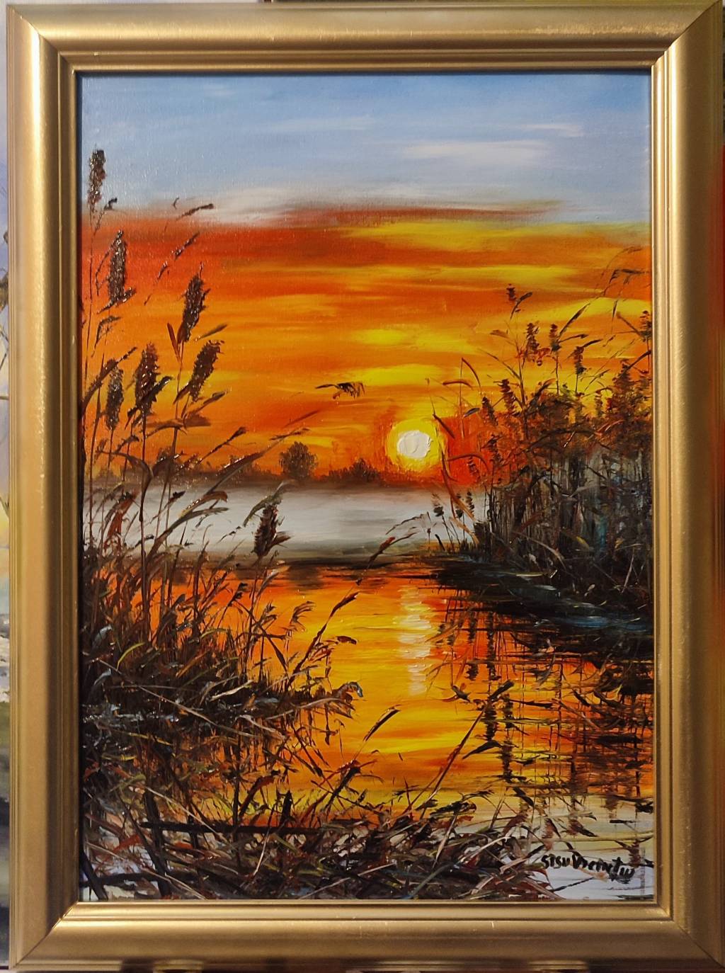 Poza Dimineața în Delta 