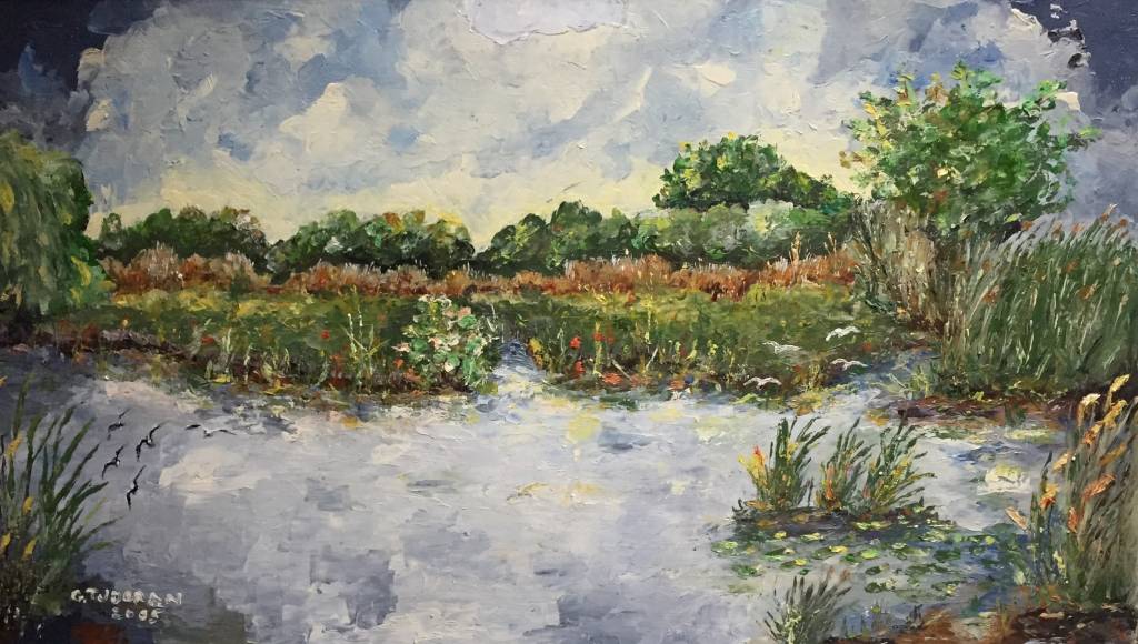 Poza Din Delta Dunării