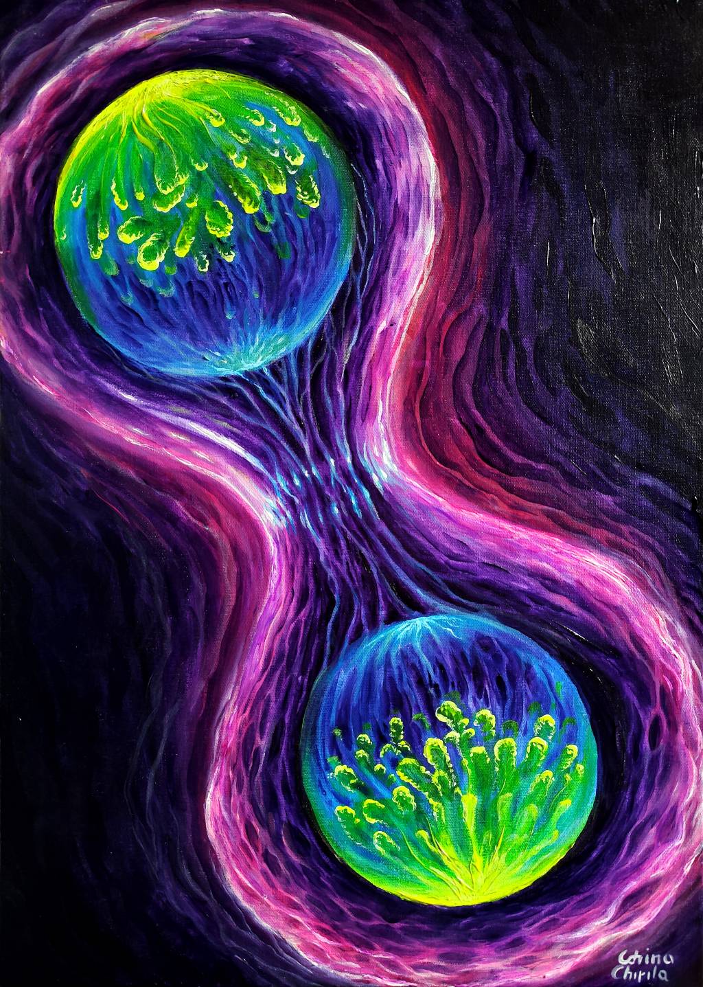 Poza Diviziune celulara cu celule fiice