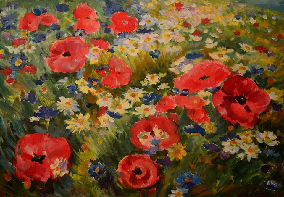 Poza Field of poppies