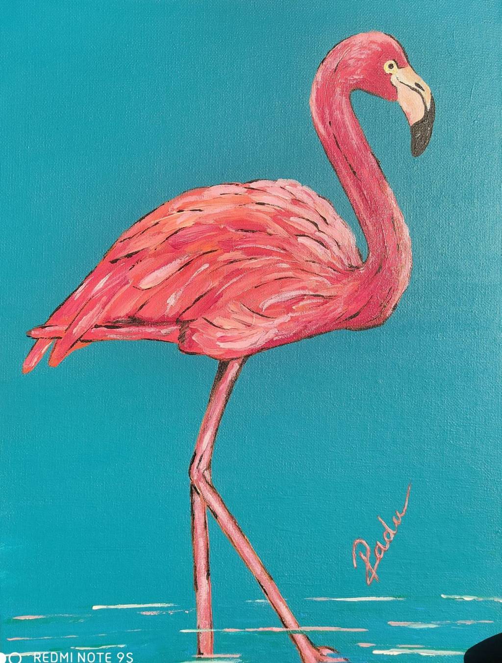 Poza Flamingo
