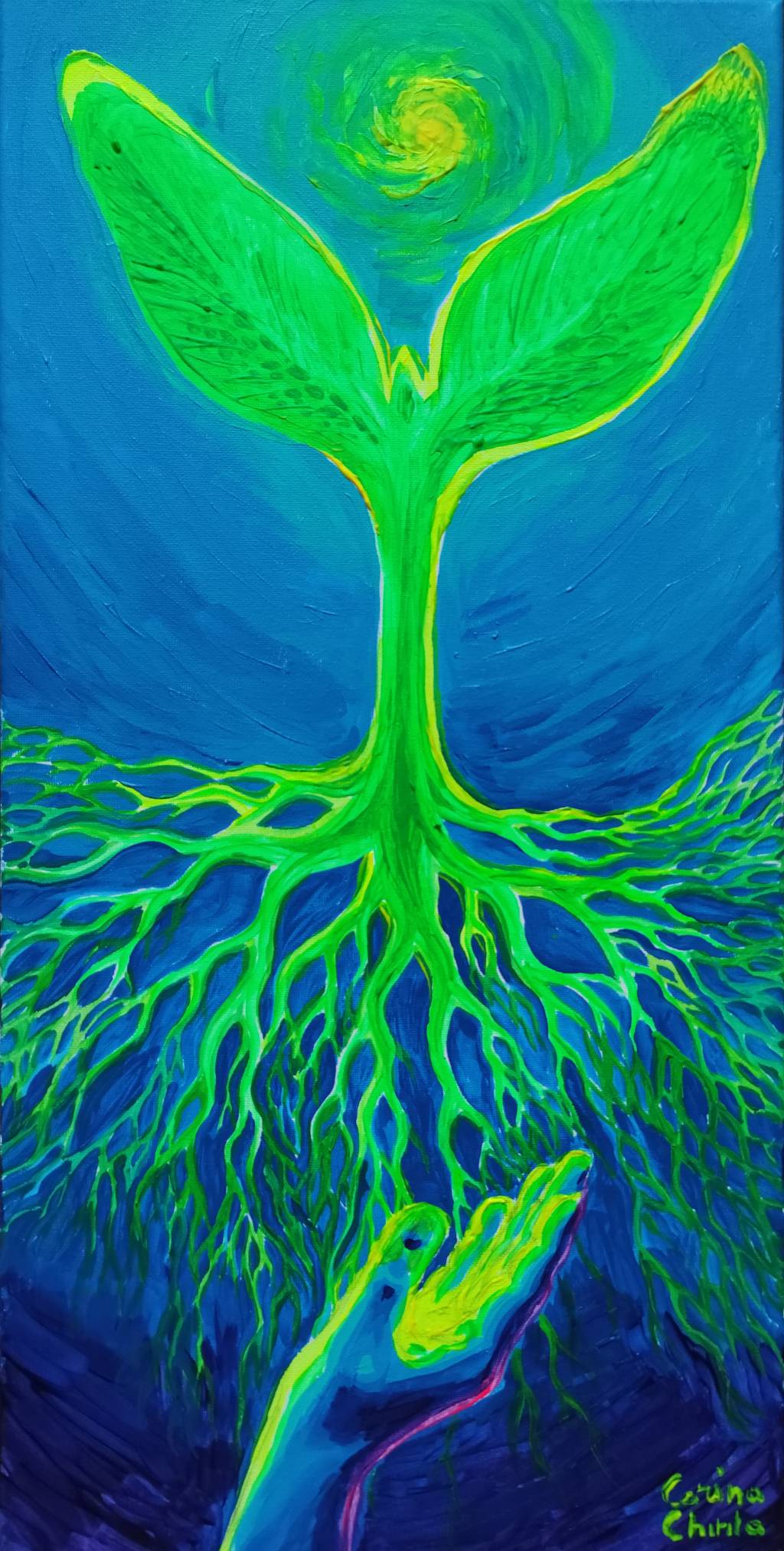 Poza Grija pentru o noua viata