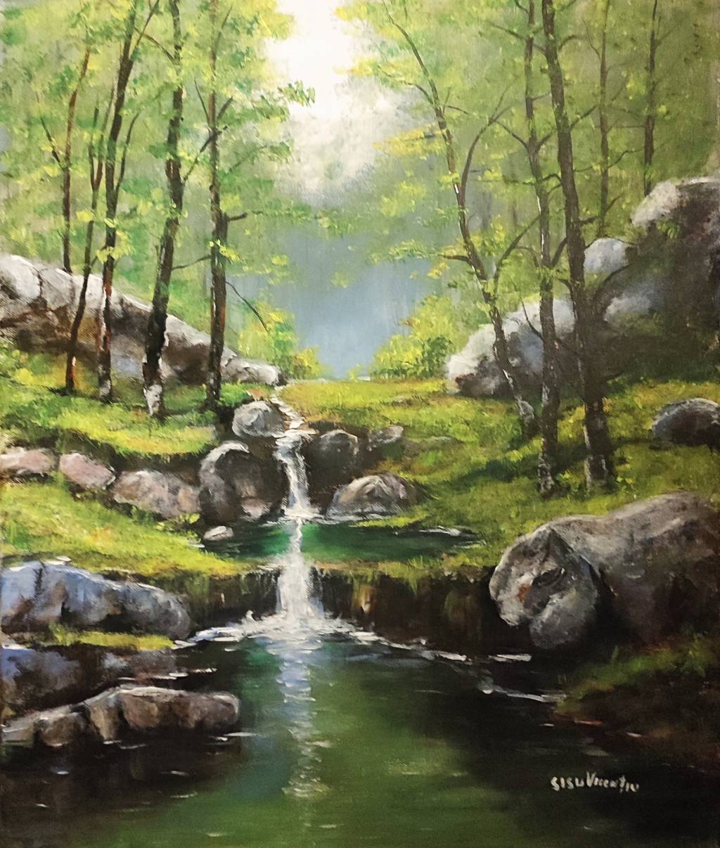 Poza Izvorul din pădure 