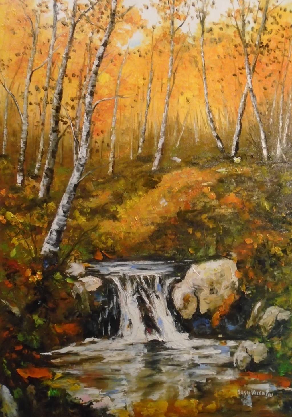 Poza Izvorul din pădure 2