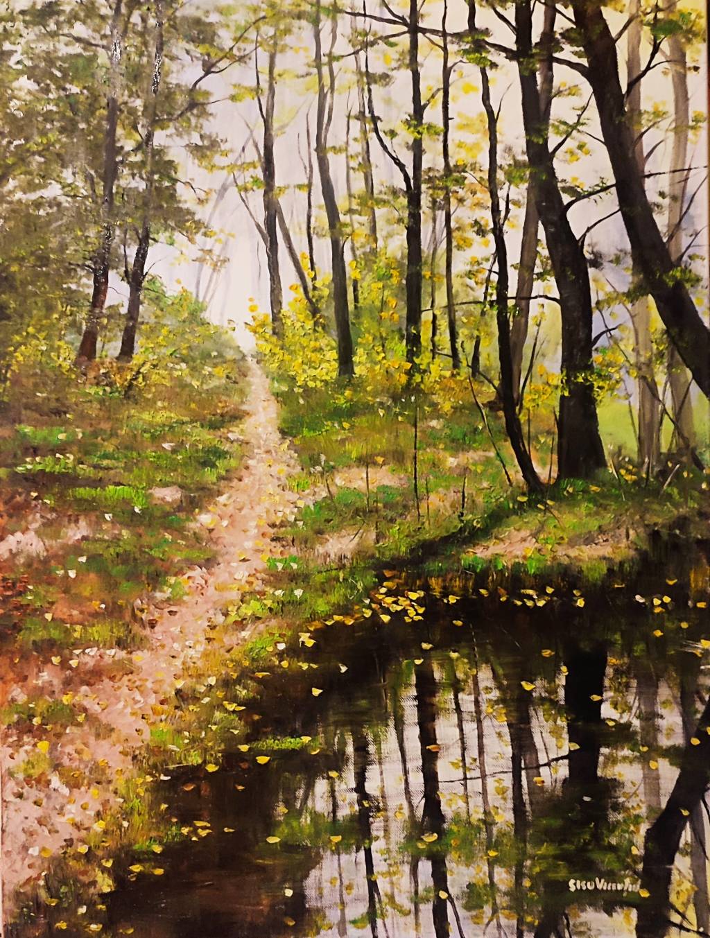 Poza Lacul din pădure!