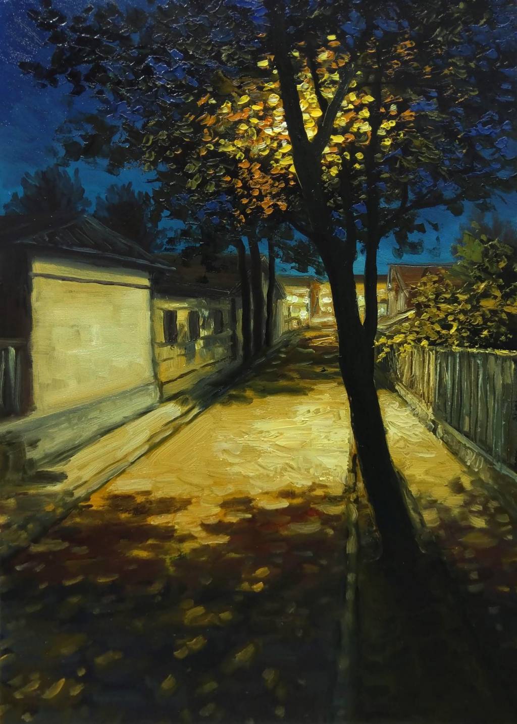 Poza Nocturna de octombrie, 2019