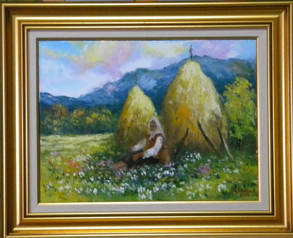 Poza ODIHNA IN POIANA MARGARETELOR