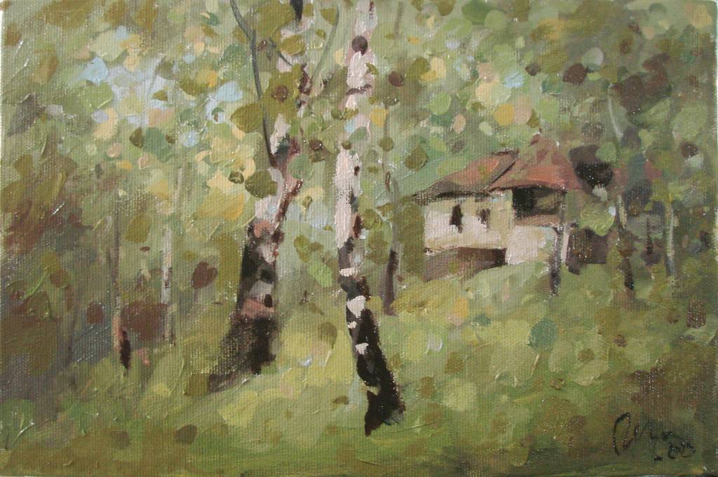 Poza Peisaj,casa intre mesteceni