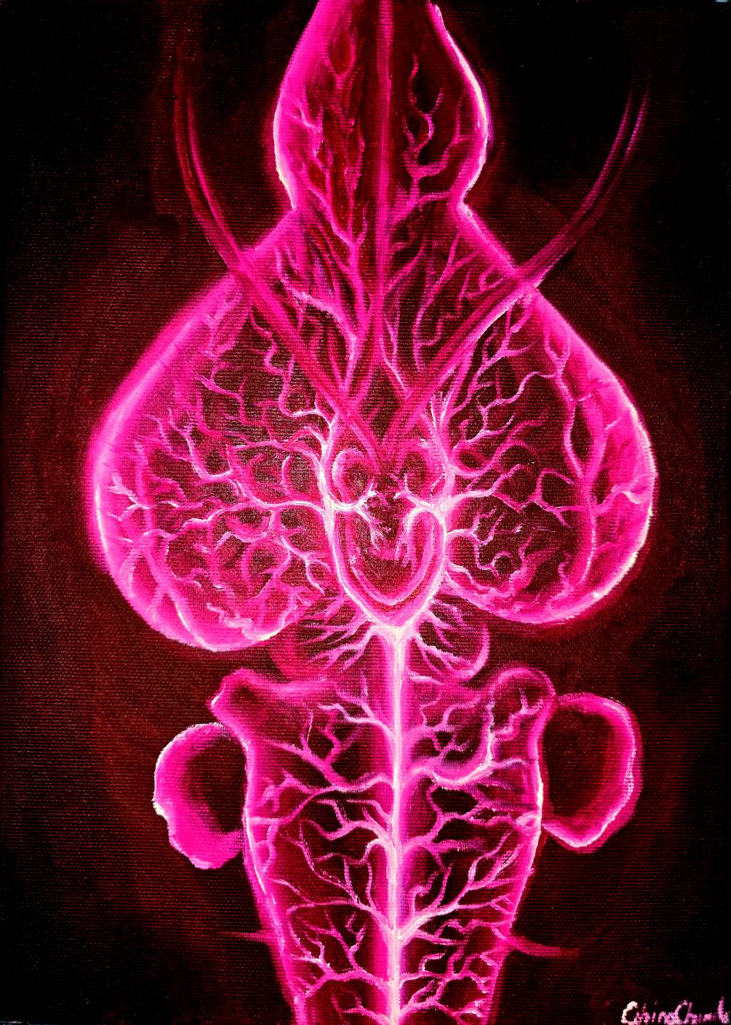 Poza Vascularizatia creierului la sobola