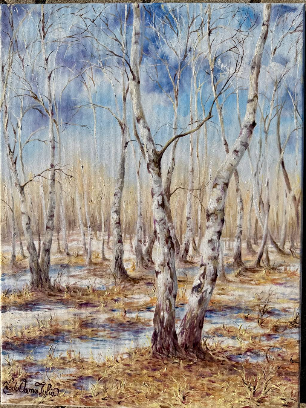 Poza Zăpadă printre raze