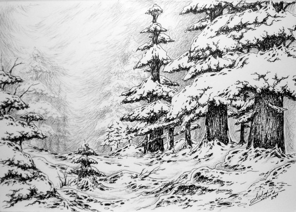 Picturi alb negru Iarna pe inserat