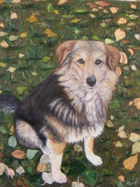 Picturi cu animale Strajerul