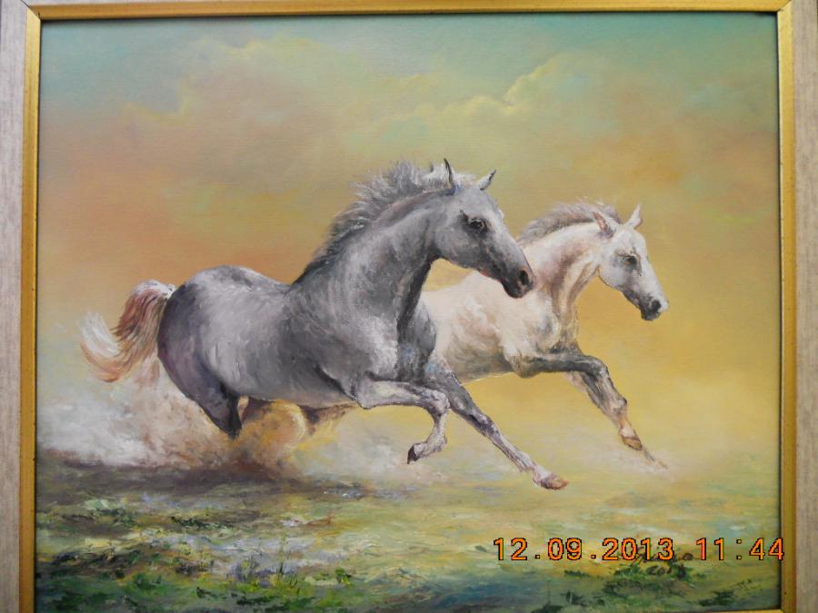 Picturi cu animale CAI GALOPAND