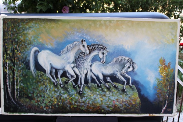 Picturi cu animale Vis127