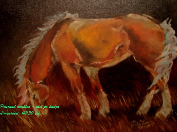 Picturi cu animale Pascand noaptea