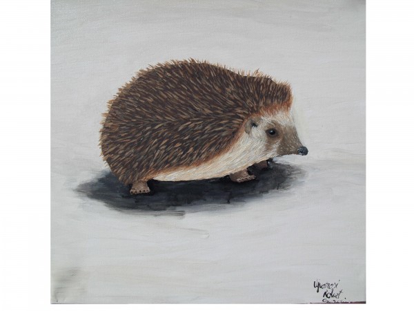 Picturi cu animale Arici pogonici