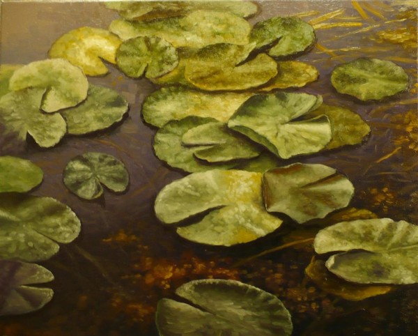 Picturi cu flori Nuferi 3