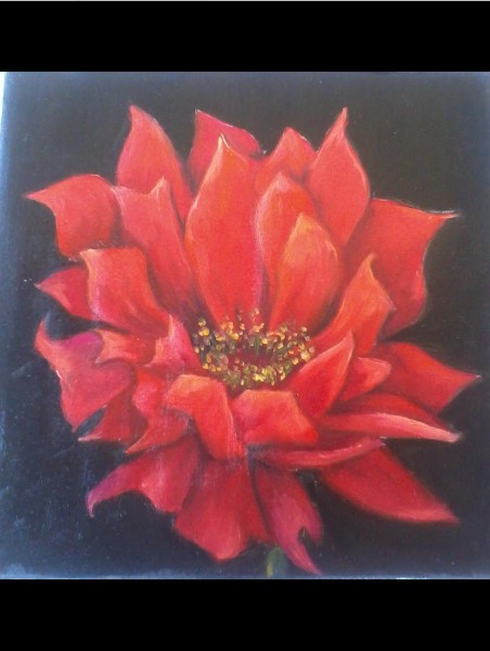 Picturi cu flori Floarea de foc