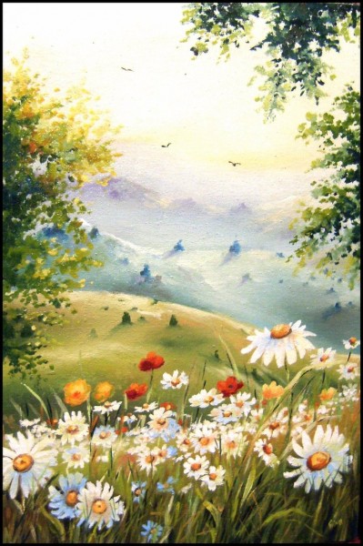 Picturi cu flori Morning silance