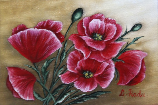 Picturi cu flori Maci