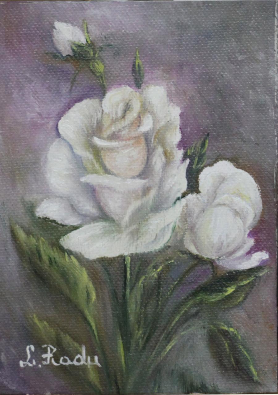 Picturi cu flori White Rose