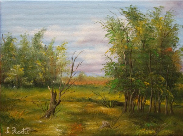 Picturi cu peisaje Luminis