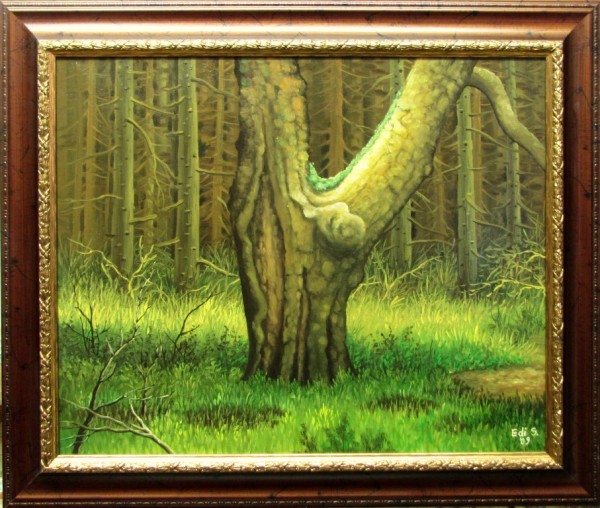 Picturi de vara Batranul stejar