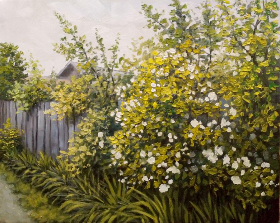 Picturi de vara gardul - 2016