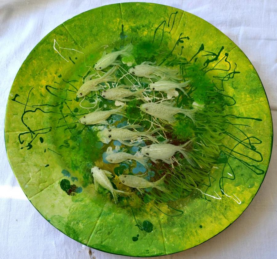 Picturi decor  	 Pestisori albi 3d 