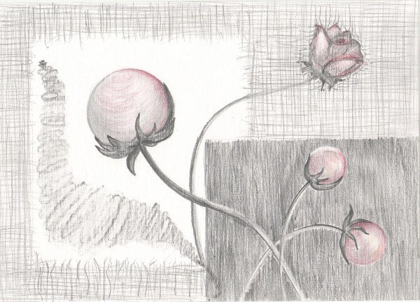 Picturi decor Muguri