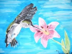 alte Picturi Pasarea colibri