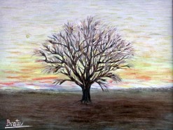 alte Picturi Solitarul5