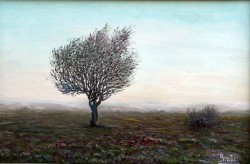 alte Picturi Solitarul6.000