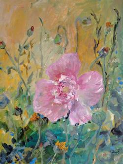 Picturi cu flori Macul din gradina Delie