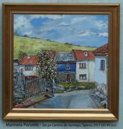 Picturi de primavara Sat pe Camino de Sa