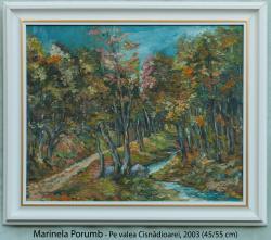 Picturi de toamna Pe valea Cisnadioarei,