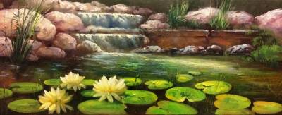 Poza cascada si nuferi